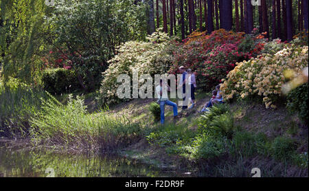 Visitors in Babite Rhododendron Park Latvia Stock Photo