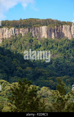 In the Numimbah Valley Stock Photo