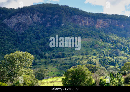 In the Numimbah Valley Stock Photo
