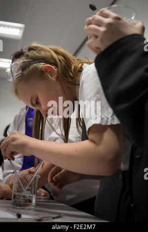 Pupils pictured during a Year 9 science class at Kirkby High School, Merseyside. The school had one of the lowest success rates for GCHE passes in 2014 in England. In 2013 the school changed from local authority to Academy status. Stock Photo