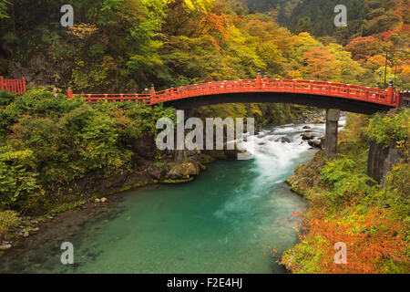 The Shinkyo Sacred Bridge (神橋) in Nikko, Japan over the Daiya River surrounded by bright autumn colors.