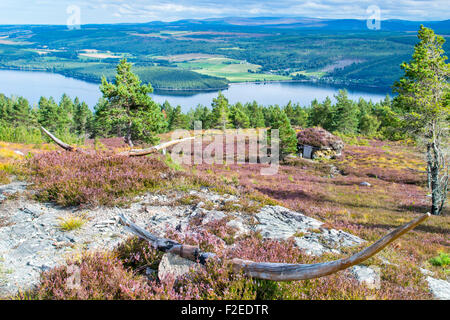 ABRIACHAN TRAIL OR WALK ABOVE LOCH NESS CARVED WOODEN HORNS OVERLOOKING THE SHIELING HUT  SURROUNDED BY PURPLE HEATHER Stock Photo