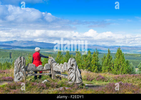 ABRIACHAN TRAIL OR WALK AND CARVED SEAT SET ABOVE LOCH NESS WITH A VIEW TO DISTANT HILLS Stock Photo