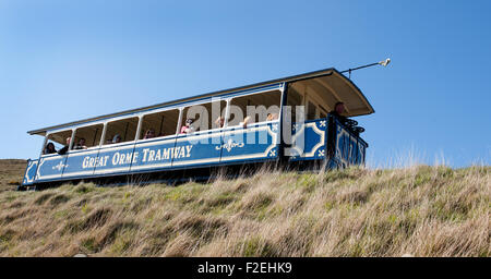 Tram, Great Orme Tramway, Llandudno, North Wales, Uk. Stock Photo