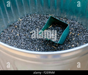 A bin full of sunflower seeds, showing a scoop. A popular seed for wild bird feeding. Stock Photo