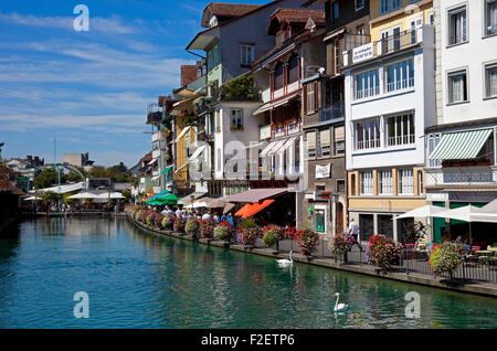 Thun river Aare canton of Bern Switzerland Europe Stock Photo