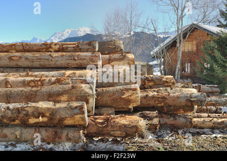 pine logs in front wooden chalet in mountain Stock Photo