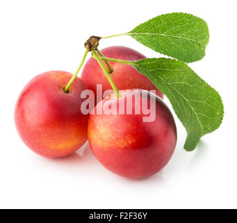 red cherry plums isolated on the white background. Stock Photo