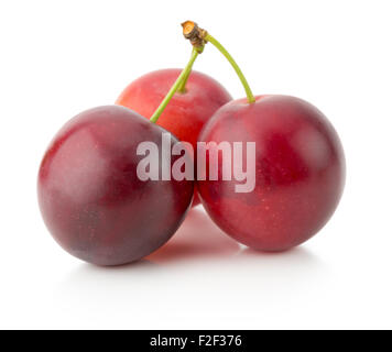 cherry plums isolated on the white background. Stock Photo