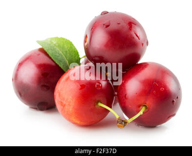 red cherry plums isolated on the white background. Stock Photo