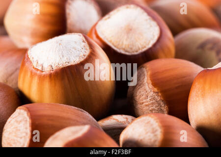 close up of hazelnuts. Stock Photo