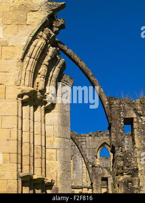 The Gothic ruins of Rievaulx Abbey in Ryedale, North Yorkshire Stock Photo