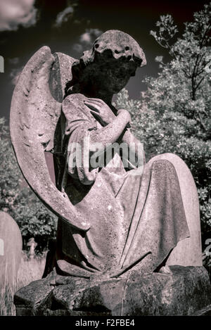 An angel statue in Kingston Cemetery Stock Photo