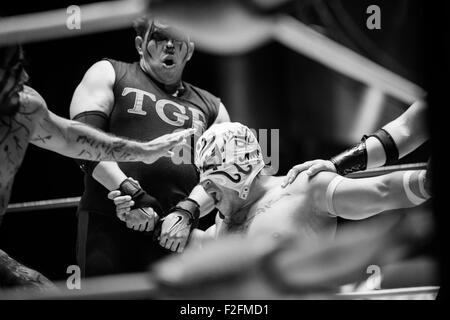 Mexico City, Mexico. 8th Sep, 2015. Luchador Triton (R) competes in a lucha libre at Arena Mexico in Mexico City, capital of Mexico, on Sept. 8, 2015. Lucha Libre is authentic Mexican free wrestling and features strong men in mysterious and elaborate masks. Triton, 28 years old, is considered one of the young promises of the World Wrestling Council for Lucha Libre. Arena Mexico, also known as the 'Cathedral of Lucha Libre', is the biggest arena in the country for this kind of matches. In 2015, Arena Mexico will host the 82nd anniversary of the CMLL. © Pedro Mera/Xinhua/Alamy Live News Stock Photo