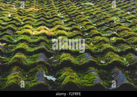 Old tiled roof covered by moss Stock Photo