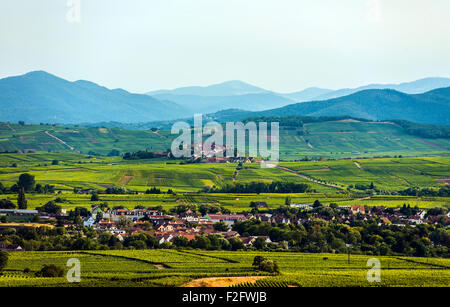 Village in the vineyards, Ribeauvillé and the Grand Ballon behind, Alsace, France Stock Photo