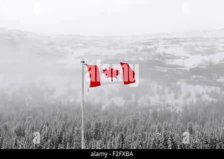 The Canadian national flag flying in the stiff wind during a snow shower in the Rocky mountains, Canada Stock Photo