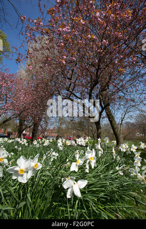 Village of Port Sunlight, England. Picturesque spring view in Port Sunlight’s Dell, with Bath Street in the background. Stock Photo