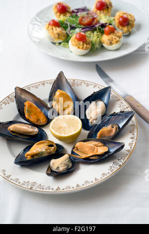 steamed mussels on white tablecloth. deviled eggs in the background Stock Photo