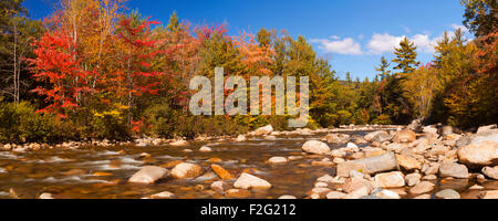Multi-coloured fall foliage along a river. Photographed at the Swift River, White Mountain National Forest in New Hampshire, USA Stock Photo
