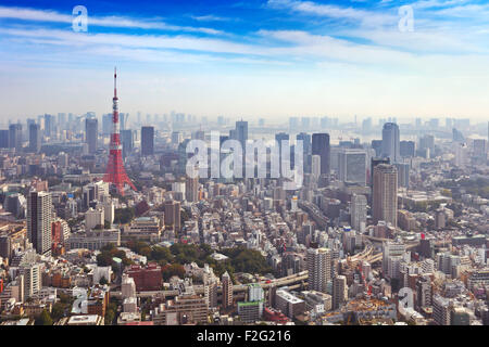 The skyline of Tokyo, Japan with the Tokyo Tower photographed from above.