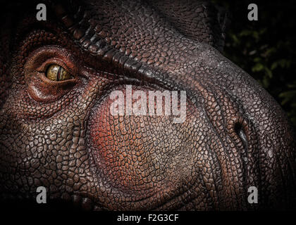 Tyrannosaurus  Rex Stock Photo