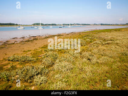 Boats moored on River Deben, Ramsholt, Suffolk, England,UK Stock Photo