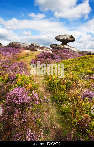Mushroom Rock and Heather on Brimham Moor Nidderdale North Yorkshire England Stock Photo