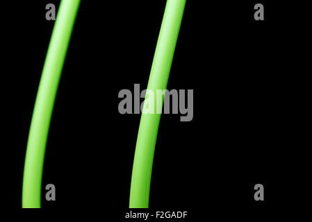 An abstract macro shot of green lines on a pure black background. Stock Photo