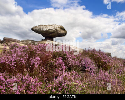 Mushroom Rock on Brimham Moor Nidderdale North Yorkshire England Stock Photo