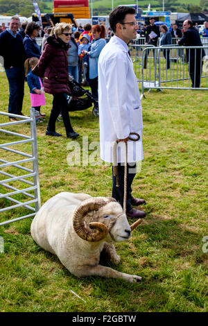 Farmer with prize ram at the North Somerset Agricultural Show Stock Photo