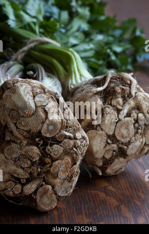 Celery root or celeriac, showing its root and with stalk and greens attached Stock Photo