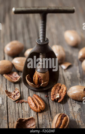 pecan being cracked in an antique nutcracker, surrounded by pecan on rough wood Stock Photo