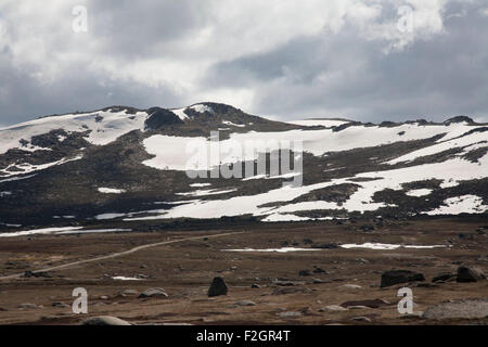 Walking track from Charlotte Pass to the top of Mt  Kosciuszko National Park  snowy Mountains region New South Wales Australia Stock Photo