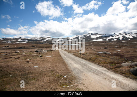 Walking track from Charlotte Pass to the top of Mt  Kosciuszko National Park  snowy Mountains region New South Wales Australia Stock Photo