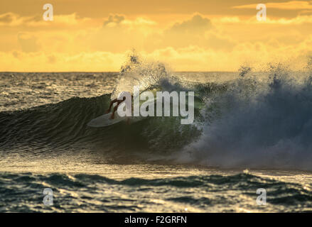 A surfer on the north shore of Oahu during the sunset Stock Photo