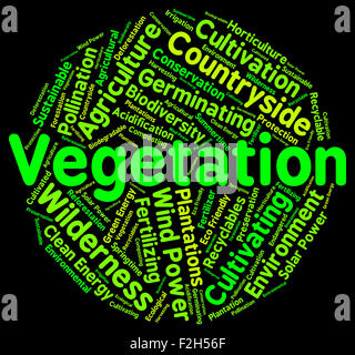 Vegetation Word Meaning Plant Life And Botany Stock Photo