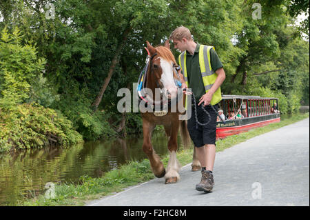 Horse-drawn canal boat on the Llangollen canal, Denbighshire, UK Stock Photo