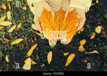 Autumn leaves in girl hands Stock Photo