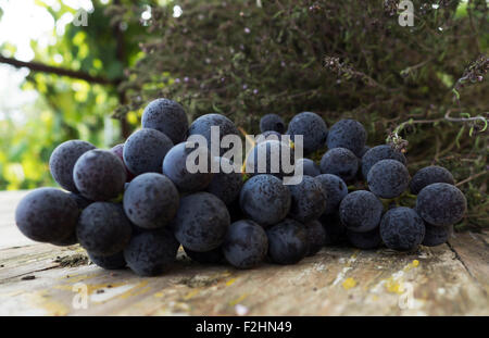 Grapes on rustic table Stock Photo