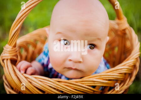 Portrait of a little boy in the basket - close-up, outdoors Stock Photo