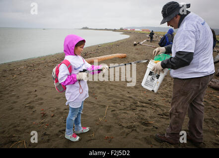 Vancouver, Canada. 19th Sep, 2015. A young participant collect garbages from the shore at Iona Beach in Richmond, Canada, Sept. 19, 2015. Considered as one of the largest environmental events in Canada, the Great Canadian Shoreline Cleanup is also the third largest cleanup in the world. This year over 1,700 cleanups have been registered across the country which mobilized more than 50,000 people to participate to help protecting the aquatic ecosystems. © Liang sen/Xinhua/Alamy Live News Stock Photo