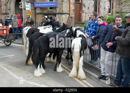 Street scenes at Appleby Horse Fair in Cumbria, where horses are sold in the streets. UK Stock Photo