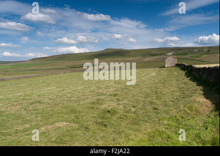 Newly mowed hay meadow in Coverdale, North Yorkshire, UK. Stock Photo