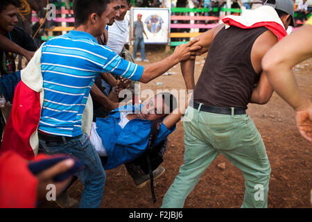 A rider is carried unconscious from bull during the annual fiesta in Juigalpa, Nicaragua. The festivities include a horse parade Stock Photo