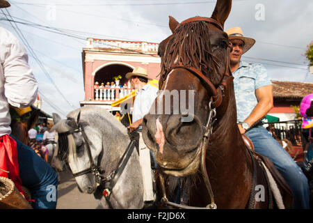 A horse and rider participate in the annual tope or horse parade in Granada, Nicaragua celebrating Nicaragua' History Stock Photo