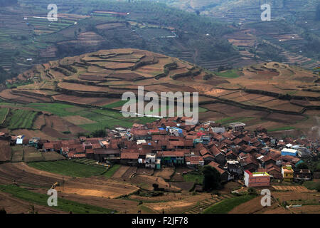 Terrace Farming in Tamilnadu, India Stock Photo