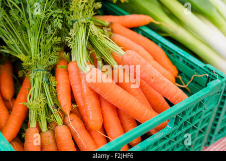 Fresh organic carrots at farmers market Stock Photo