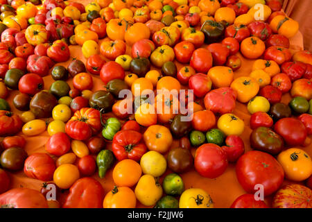 A display of multi-colored heritage tomatoes on sale at the Union Square Market in Manhattan, New York City, New York State, U.S Stock Photo