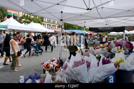 Flowers on sale at the Union Square Market in Manhattan, New York City, New York State, U.S.A. Stock Photo